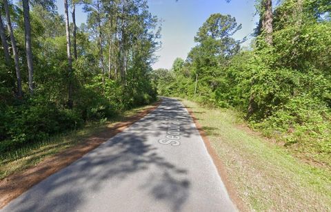 Tiny photo for Sequoia Drive, Ocklawaha, FL 32179 (MLS # A4684786)