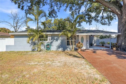 113 W NORTH STREET TAMPA FL 33604