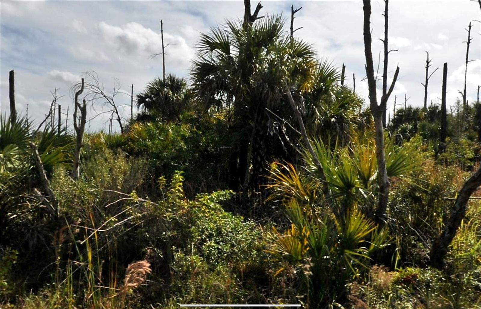 PORT CHARLOTTE SUB 46 - Land