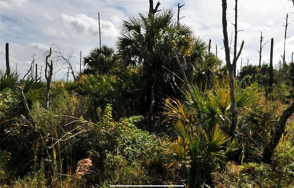 Photo of Plumleaf Terrace, North Port, FL 34288 (MLS # C7523407)