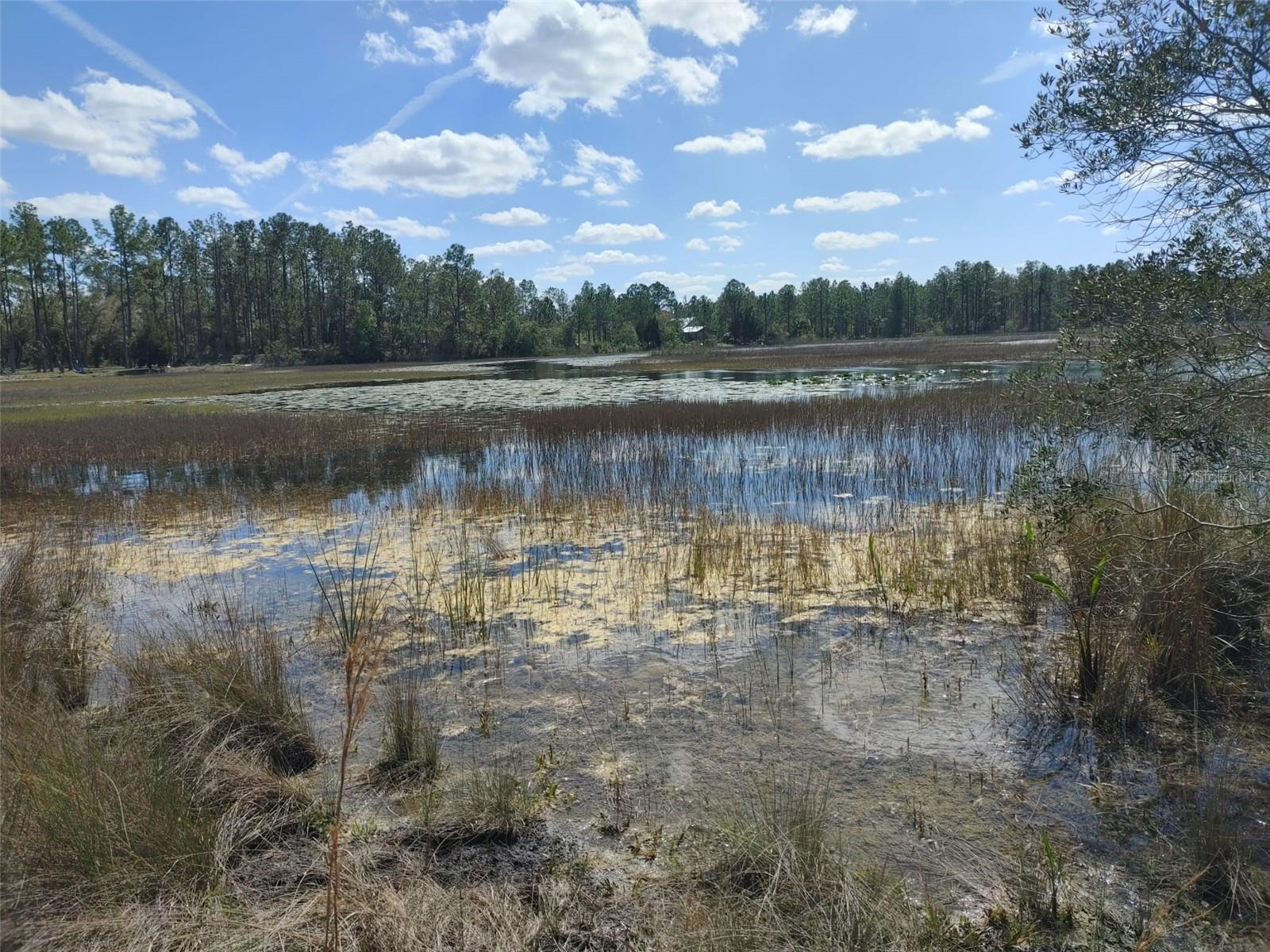 RIDGE MANOR ESTATE - Land
