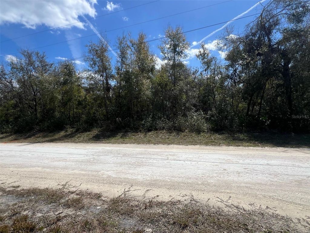 Photo of 7143 Alloy Street, Webster, FL 33597 (MLS # G5104276)