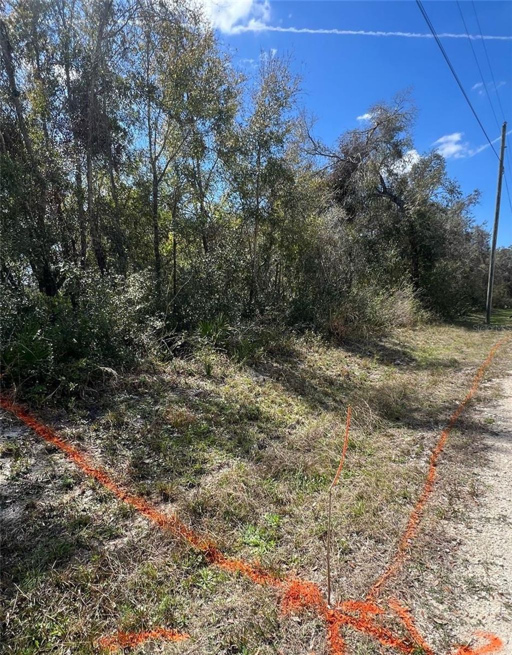 Photo of 7143 Alloy Street, Webster, FL 33597 (MLS # G5104276)