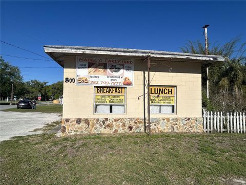 Tiny photo for 800 S Us 301, Summerville, FL 33585 (MLS # OM721700)