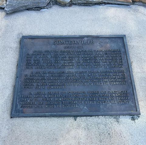 Tiny photo for 800 S Us 301, Summerville, FL 33585 (MLS # OM721700)