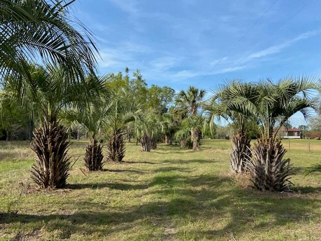 Location, location, location! This high and dry 6.4-acre property offers the best of country living while being just minutes from High Springs and Alachua. Fully fenced and cross-fenced, it's ideal for horses, chickens, pets, and other farm animals. With a well, power, and septic already in place, this land is cleared and ready for you to build your dream home or family ranch—plus, mobile homes are allowed! Nestled on a paved road, the property features mature oak trees, azaleas, kumquat, and palm trees, creating a private and serene setting. Despite the peaceful atmosphere, you're just minutes from the interstate, schools, shopping, and medical facilities. Enjoy the charm of High Springs, famous for its freshwater springs, Santa Fe River, and local parks—perfect for canoeing, kayaking, swimming, and fishing. The area also offers live music at local restaurants and a vibrant antique scene in the historic downtowns of High Springs and Alachua. This is a rare opportunity to own a beautiful, well-located property with endless potential. Don’t miss out—call today to schedule a showing!