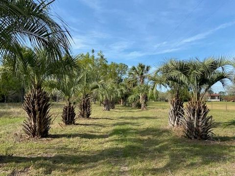 23206 NW 102ND AVENUE ALACHUA FL 32615