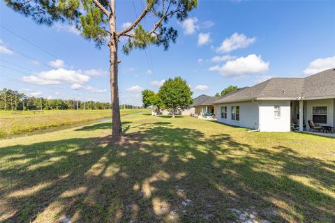 A home in ORLANDO