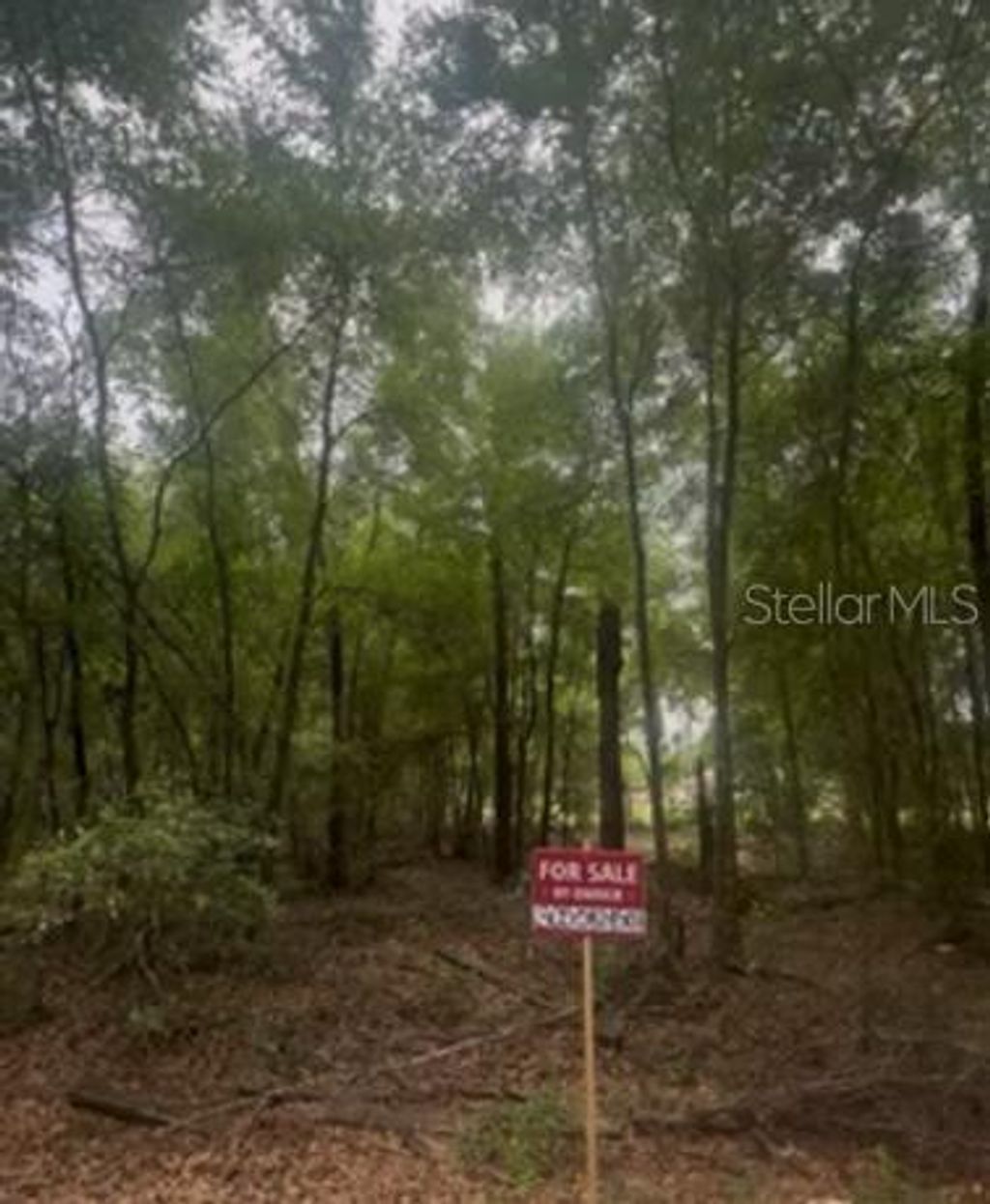 Photo of Na, Ocala, FL 34482 (MLS # OM712782)