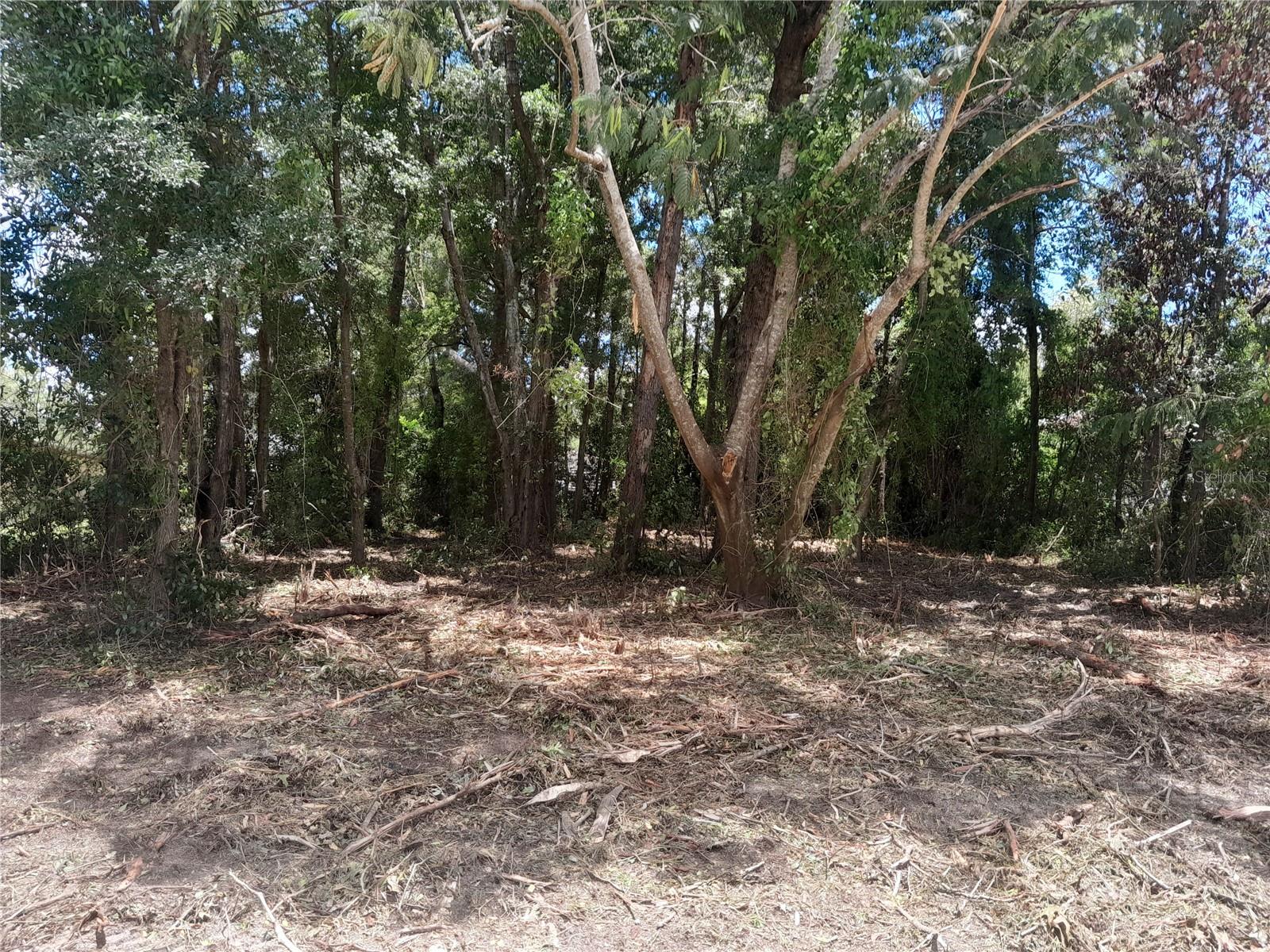 RECENTLY BUSHHOGGED BUILDING LOT FOR YOUR NEW HOME! This 0.23 acres is a perfect place to put a your new mobile/manufactured home or build a home for your future. Centrally located between Williston and Bronson a couple streets off of Hwy 27Alt. Very convenient for shopping, schools, salons, restaurants, our county seat in Bronson, and about 30 minutes to Gainesville, Ocala, Dunnellon, Cedar Key and more. For recreation you have hiking, biking, fishing, horse events and more. No HOA, high and dry, and no flood zone. Great location.