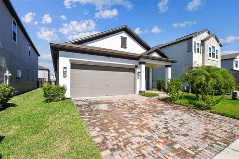 A home in LAND O LAKES