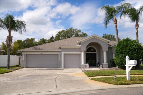 A home in LAND O LAKES