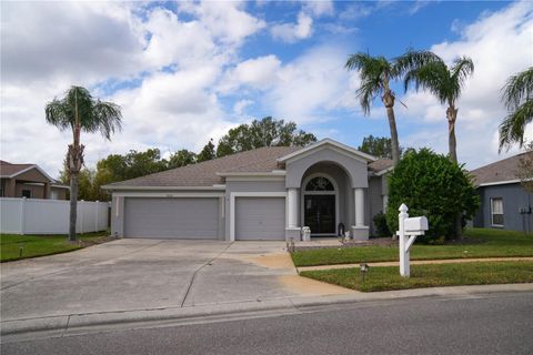 A home in LAND O LAKES