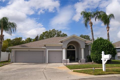 A home in LAND O LAKES