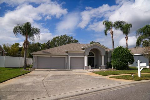 A home in LAND O LAKES