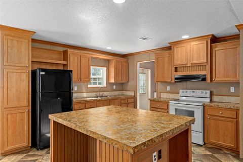 Tiny photo for 315 S Honey Bear Way, Lecanto, FL 34461 (MLS # W7884177)