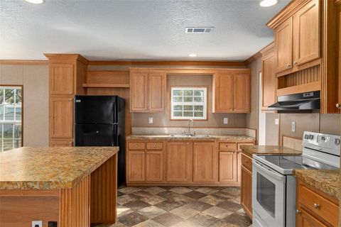 Tiny photo for 315 S Honey Bear Way, Lecanto, FL 34461 (MLS # W7884177)