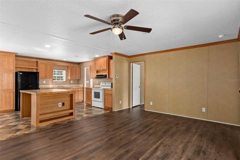 Tiny photo for 315 S Honey Bear Way, Lecanto, FL 34461 (MLS # W7884177)