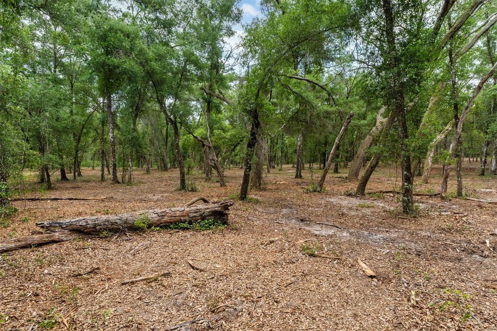 Photo of 6341 Nile Avenue, Webster, FL 33597 (MLS # W7885468)