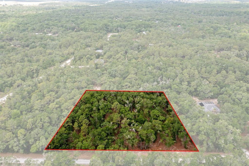 Photo of 6341 Nile Avenue, Webster, FL 33597 (MLS # W7885468)