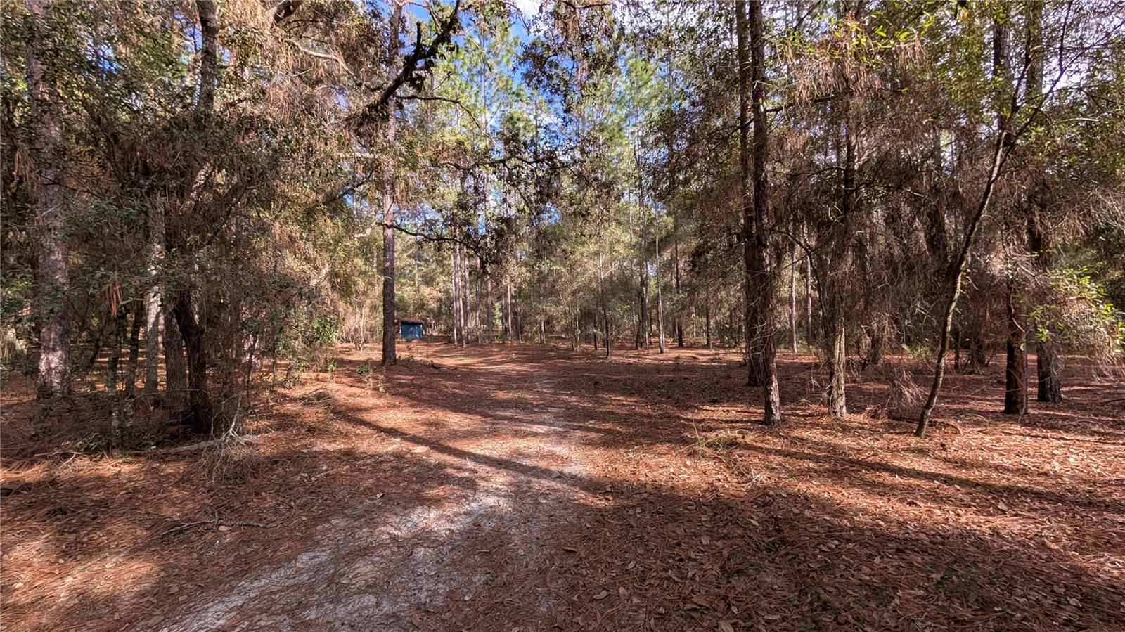 SAMARDAKS CLOUD 9 - Residential