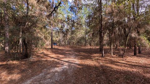 Tiny photo for 13260 SW 97th Place, Dunnellon, FL 34432 (MLS # OM715376)