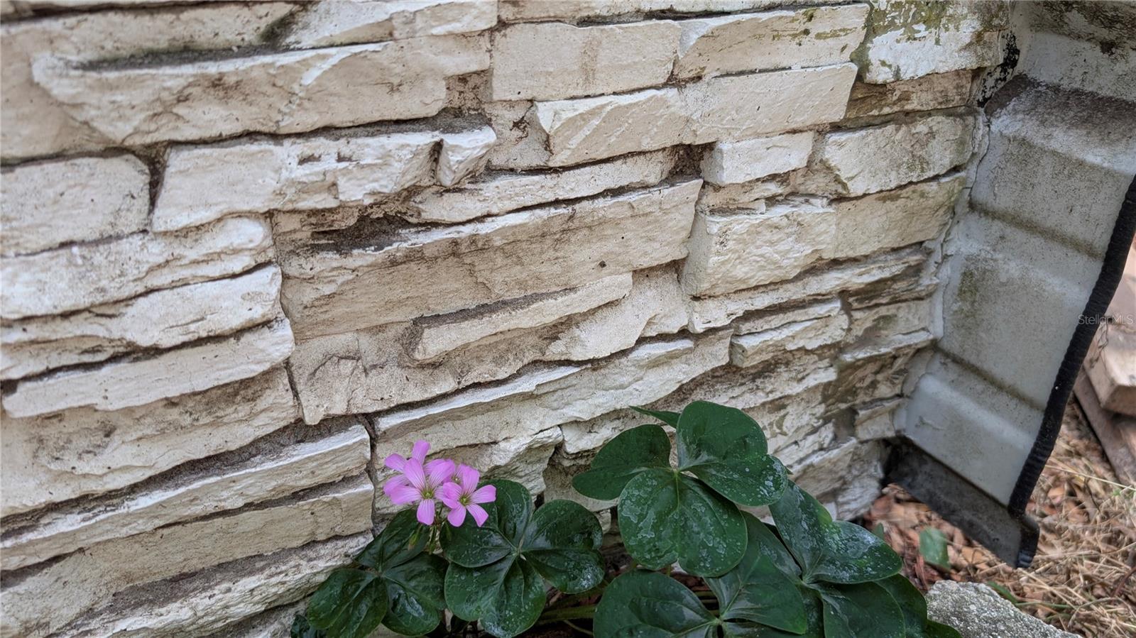 SAMARDAKS CLOUD 9 - Residential