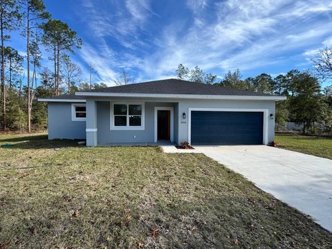 A home in CITRUS SPRINGS