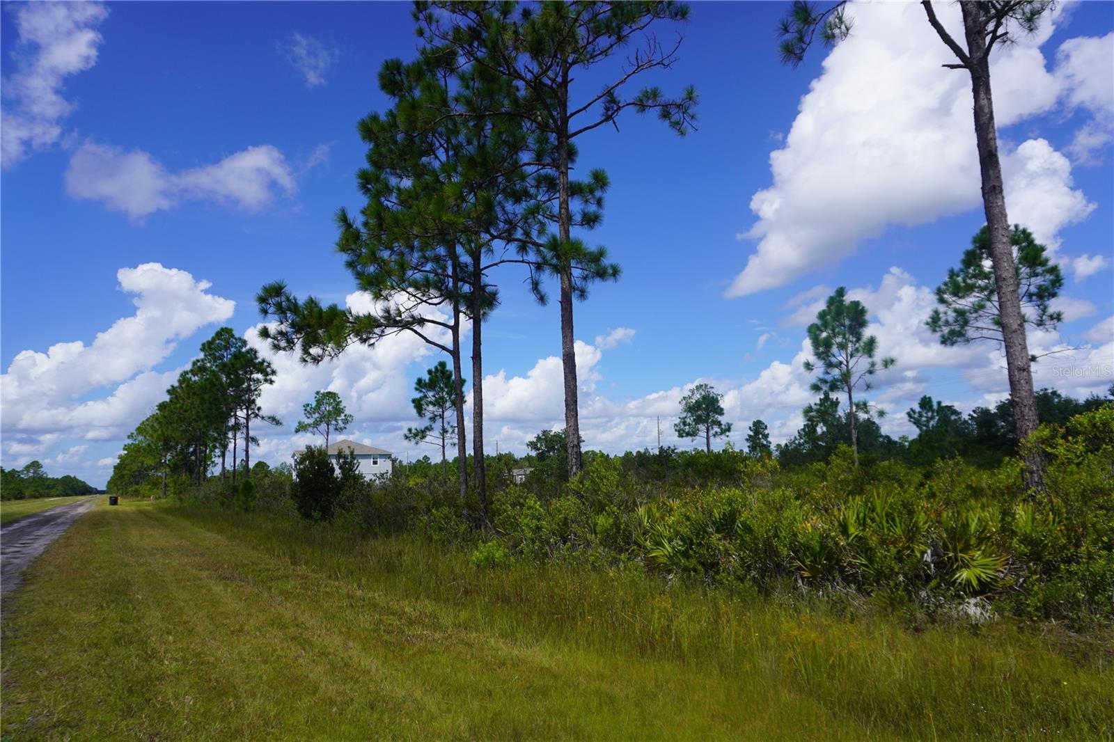 INDIAN LAKE ESTATES - Land