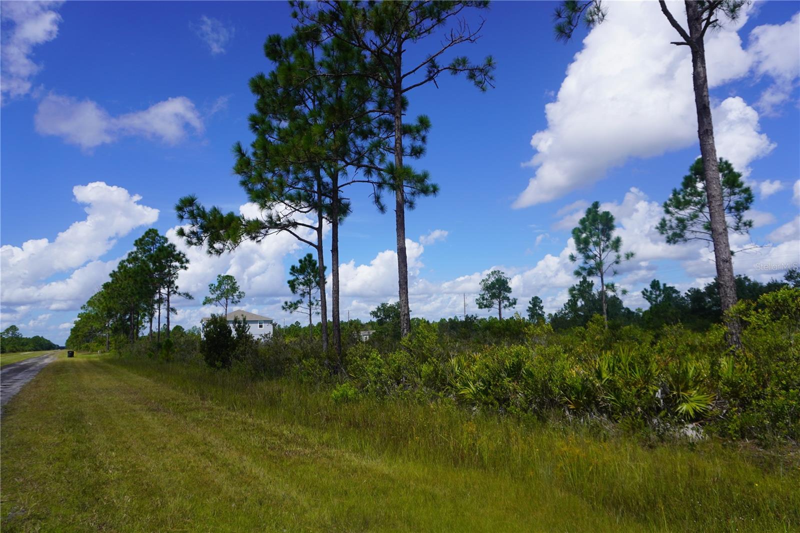 INDIAN LAKE ESTATES - Land