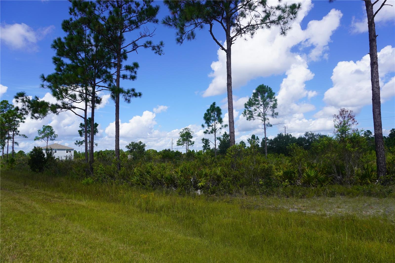 INDIAN LAKE ESTATES - Land