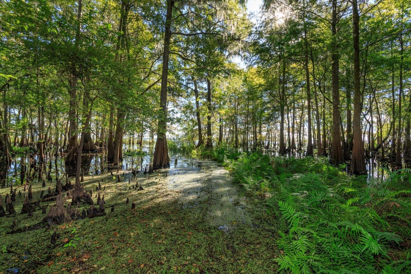 LAKE HARNEY ESTATES 5 ACRE DEV 256 PARCELS - Residential