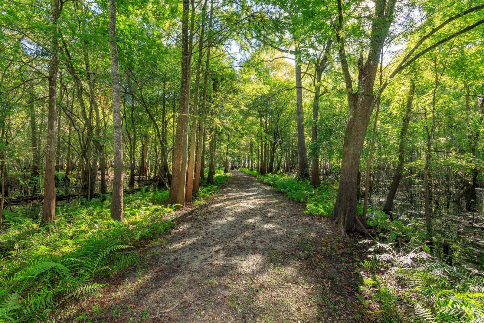 LAKE HARNEY ESTATES 5 ACRE DEV 256 PARCELS - Residential