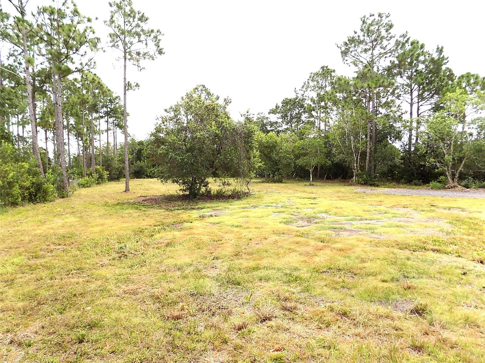 BAY LAKE RANCH UNIT 3 - Land