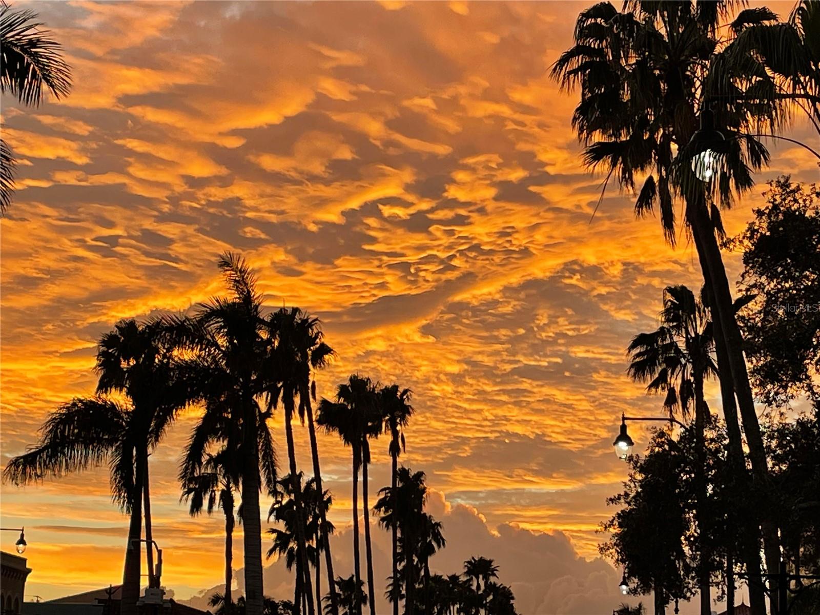 IMPERIAL HOUSE OF VENICE - Residential