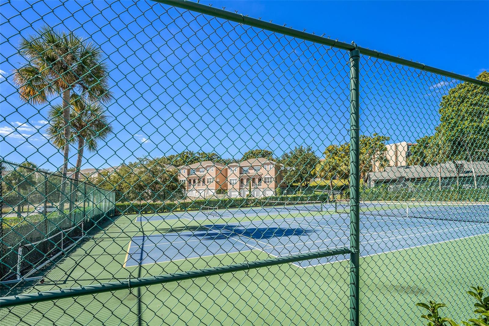 LAKE TARPON SAIL & TENNIS CLUB - Residential