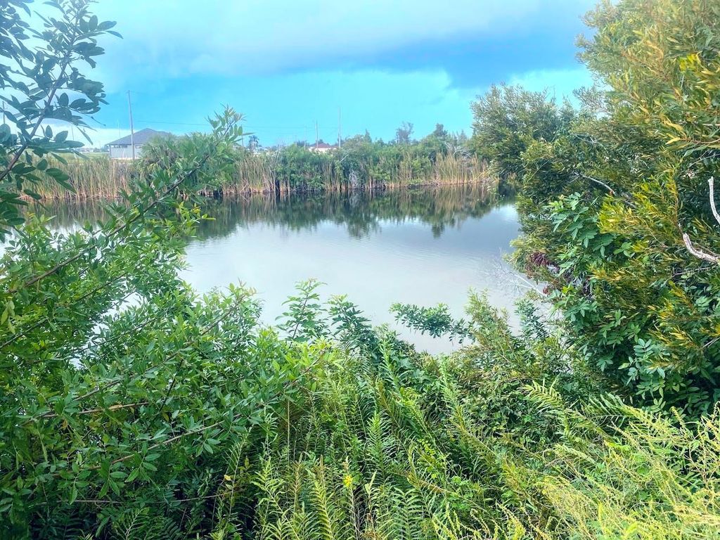 Photo of 3117 NW 9th St, Cape Coral, FL 33993 (MLS # O6342266)