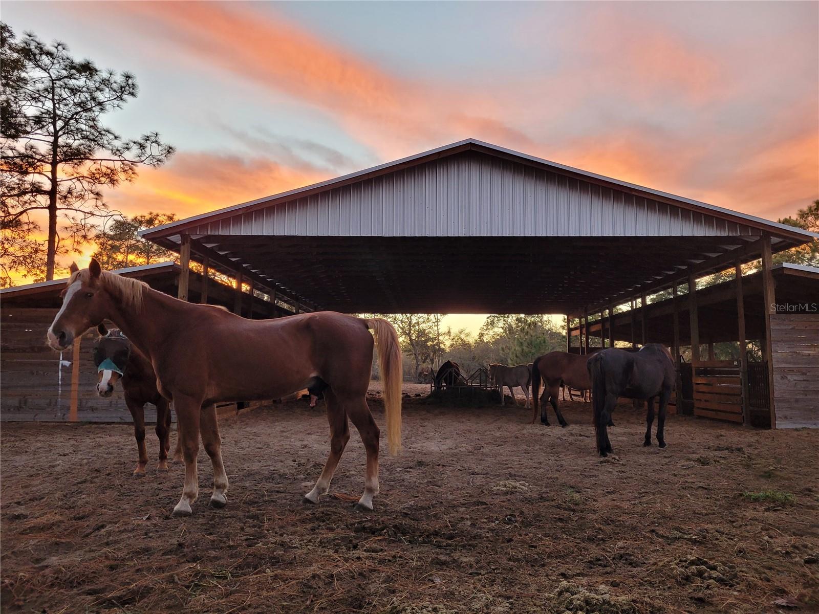 TRIPLE CROWN FARMS - Residential