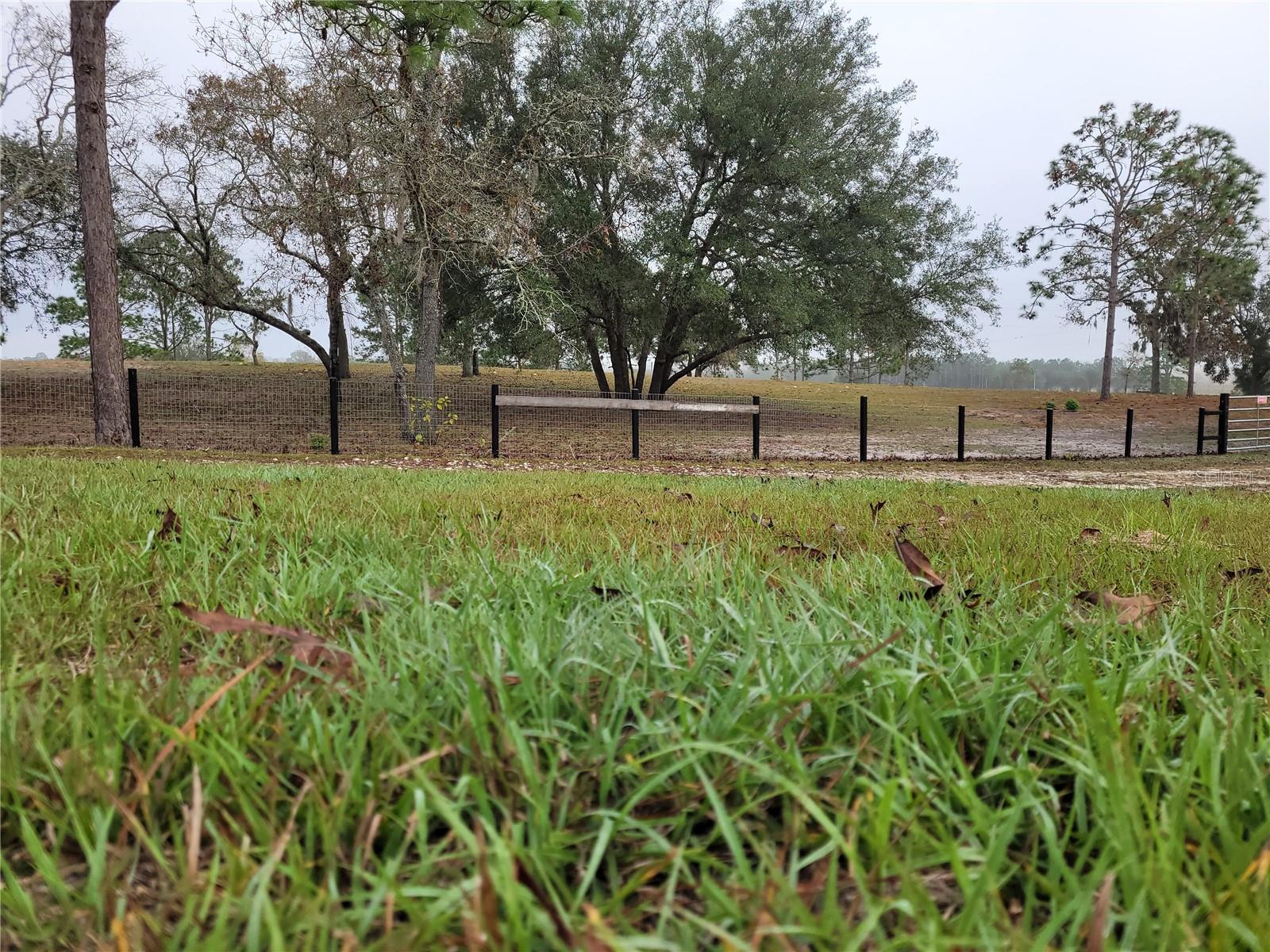 TRIPLE CROWN FARMS - Residential