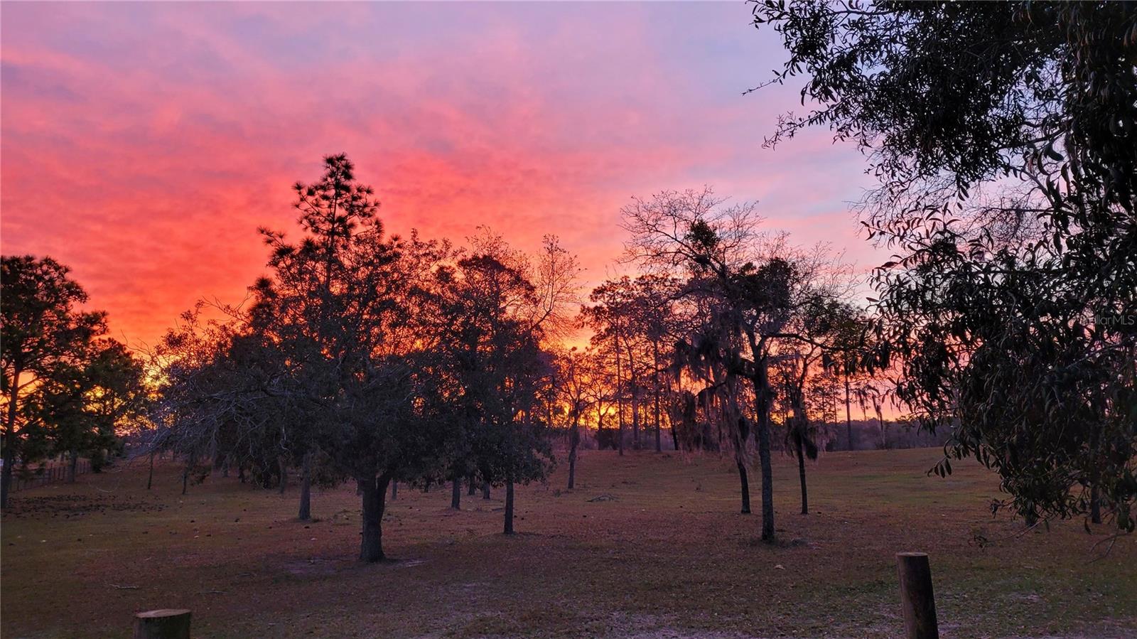 TRIPLE CROWN FARMS - Residential