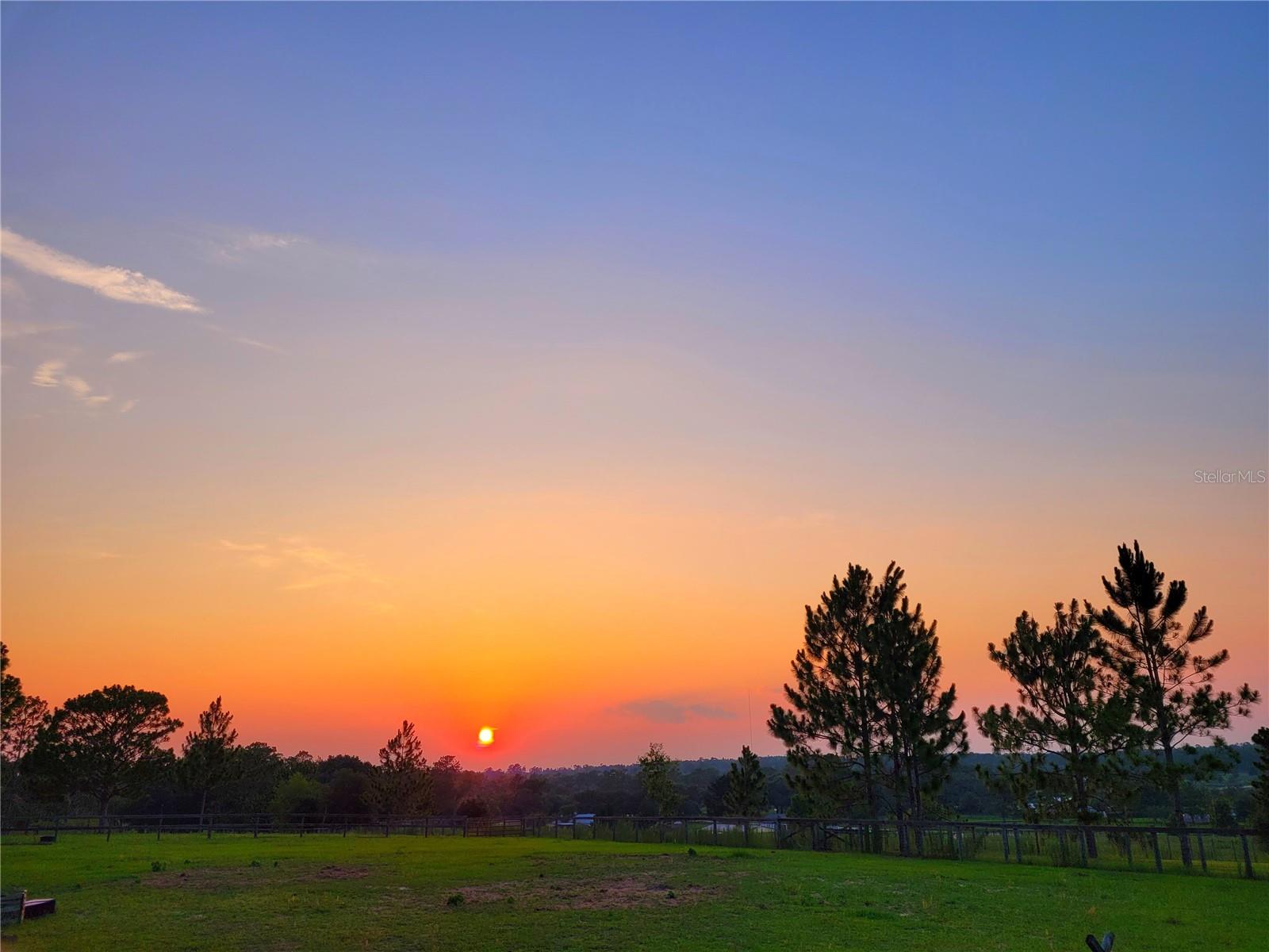 TRIPLE CROWN FARMS - Residential