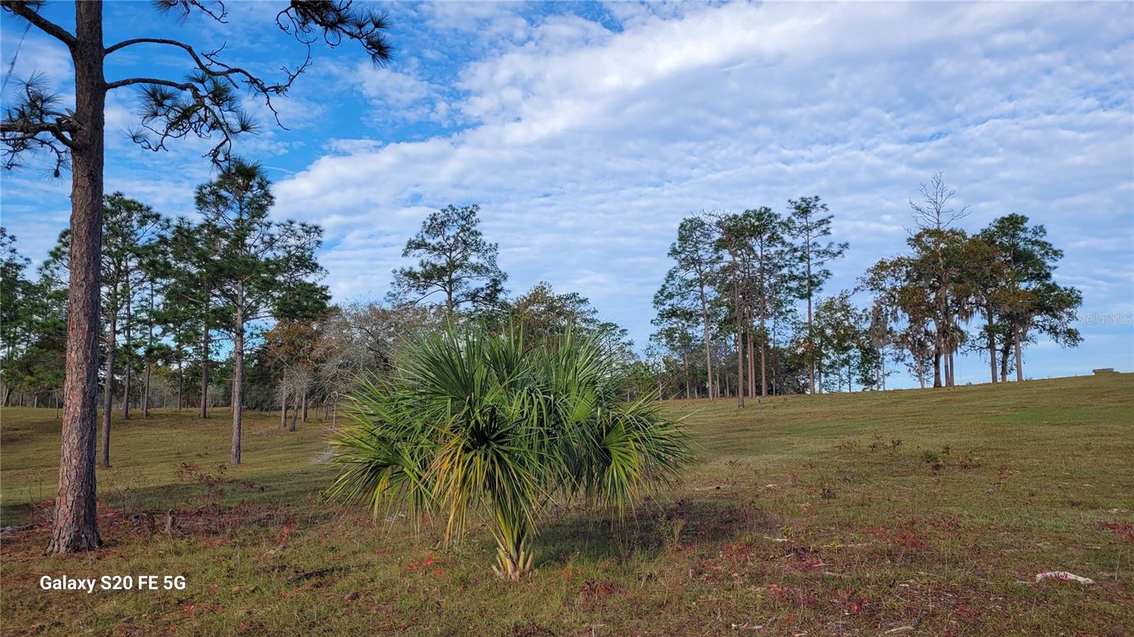 TRIPLE CROWN FARMS - Residential