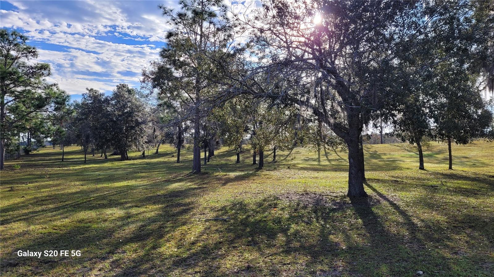 TRIPLE CROWN FARMS - Residential