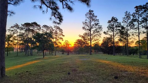 Tiny photo for 7150 SE 147 Ave #2, Morriston, FL 32668 (MLS # OM718772)