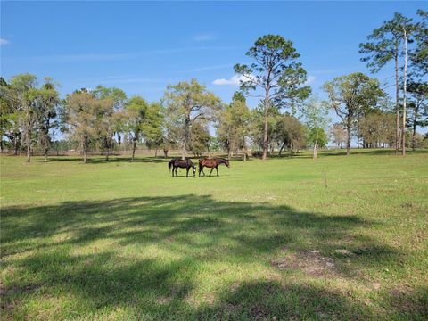 Tiny photo for 7150 SE 147 Ave #2, Morriston, FL 32668 (MLS # OM718772)
