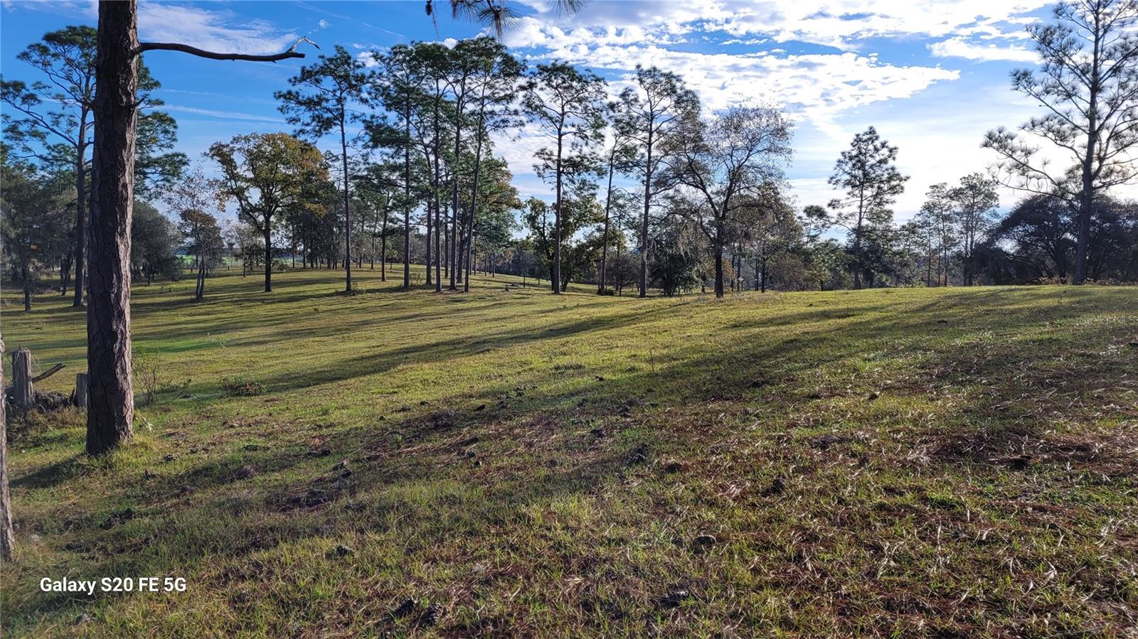 TRIPLE CROWN FARMS - Residential