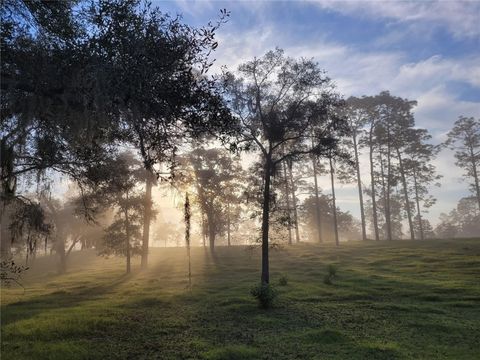 Tiny photo for 7150 SE 147 Ave #2, Morriston, FL 32668 (MLS # OM718772)