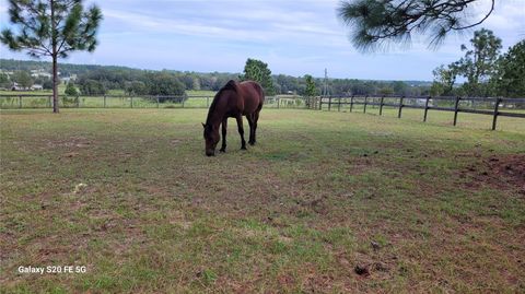 Tiny photo for 7150 SE 147 Ave #2, Morriston, FL 32668 (MLS # OM718772)