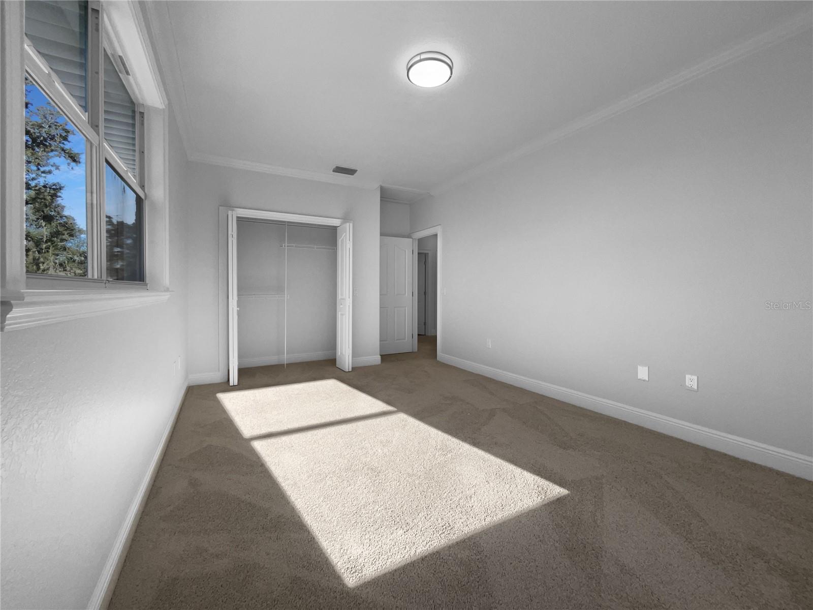 WOODBORNE TERRACE - Residential