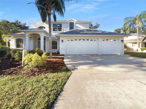 Photo of 10216 Woodborne Place, Bradenton, FL 34202 (MLS # O6352948)